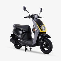 Cuxi Noir Jaune Face